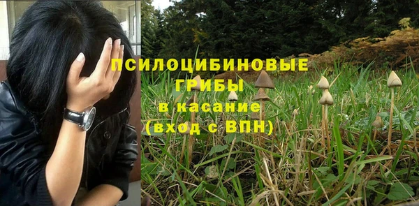 Альфа ПВП Новозыбков